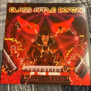 In the Dark by Glass Apple Bonzai Vinyl Record